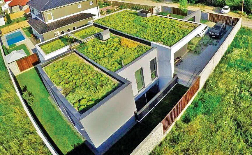 Македонска компанија разви иновативно решение за кровни градини!