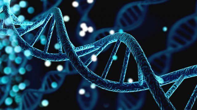 Откриен ген важен за долг живот – староста ќе се лекува?