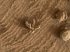Роверот Curiosity сними фасцинантен „камен цвет“