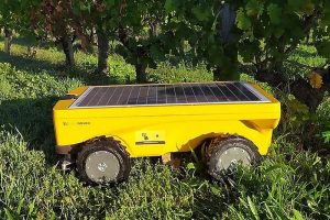 Флота на роботски соларни косилки ги одржува француските лозја (ВИДЕО)