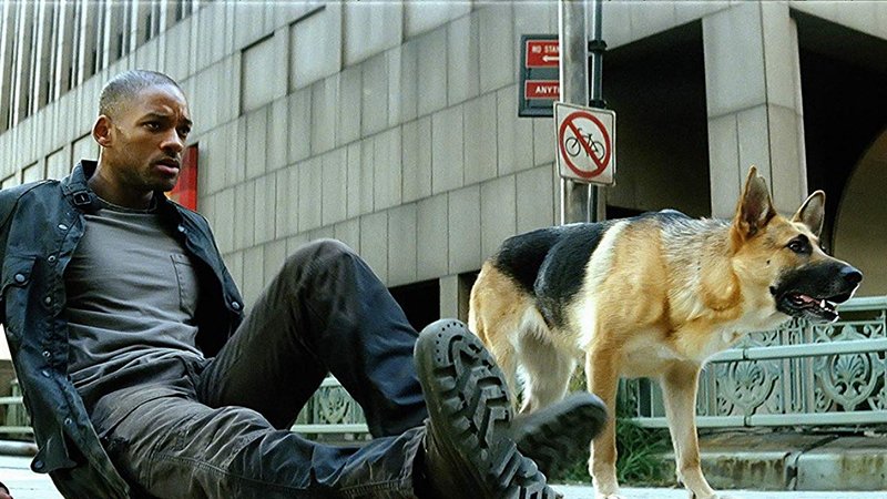 Ќе се снима продолжение на „Јас сум Легенда 2“: Вил Смит ќе ја репризира улогата на научникот