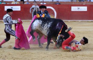 По пет века, Мексико Сити ги забрани борбите со бикови