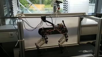 ВИДЕО: Куче робот научи да оди за само половина час