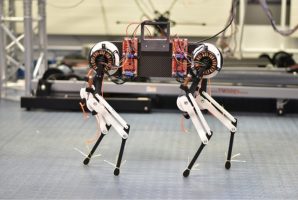 (Видео) Ново достигнување во роботиката, куче робот научи да оди за половина час
