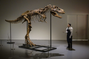 Скелет од диносаурус продаден за шест милиони долари