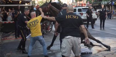 (Видео) Изнемоштен коњ падна среде Њујорк, стопанот го удира за да стане