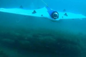 Подводни дронови одат во лов на морски богатства