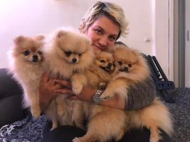 Скопјанката Александра Василева се грижи за 26 кучиња: На милениците им треба љубов како и на луѓето