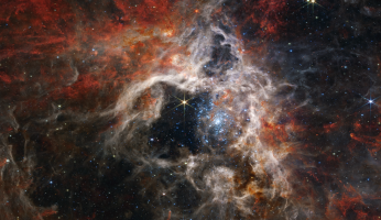 James Webb го сними најстарото ѕвездено јато во маглината Тарантула