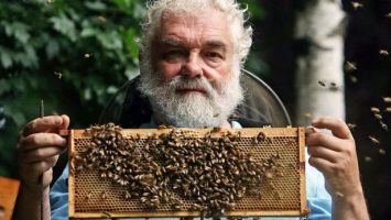 Кралскиот пчелар морал на пчелите да им ја соопшти веста дека кралицата е почината