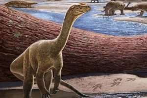 Скелет на најстариот африкански диносаурус пронајден во Зимбабве