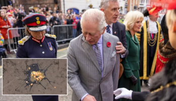 (Видео) Маж со јајца го гаѓаше кралот Чарлс додека ја откриваше статуата на кралицата Елизабета