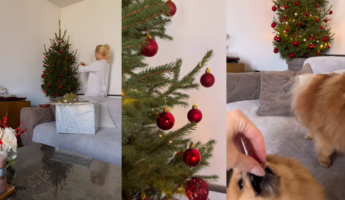 (Видео) Природна елка и црвени лампиони, Викторија Лоба го украси домот
