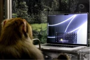 (ВИДЕО) Neuralink е блиску до тестирање на луѓе: Маск покажа како мајмун користи тастатура телепатски