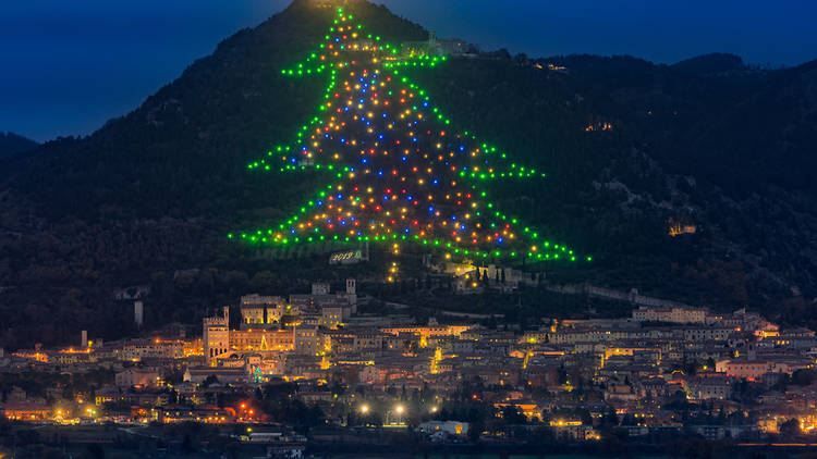 Во Италија ќе биде осветлена најголемата елка на светот
