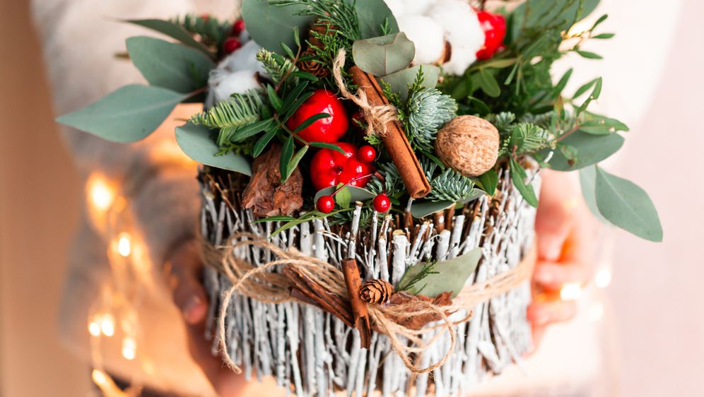 Празнични цвеќиња со кои ќе го разубавите домот за Божиќ