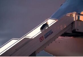 (Видео) Бајден пак падна додека се качуваше по скалите на претседателскиот авион