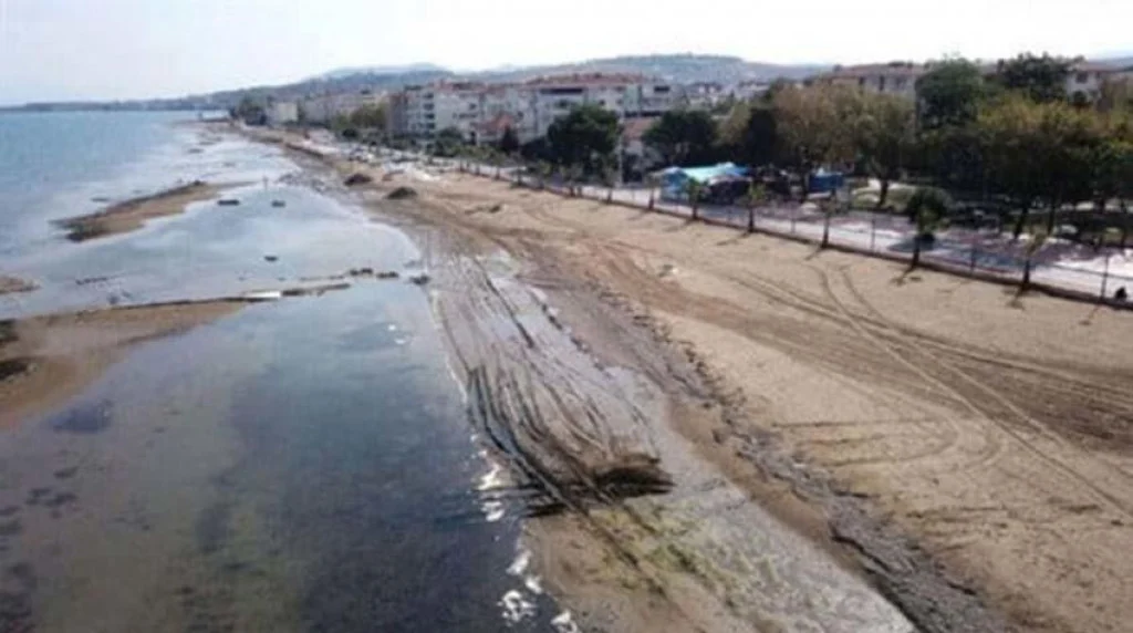 (Видео) Морето кај Истанбул се повлече за 25 метри по силниот земјотрес во Турција