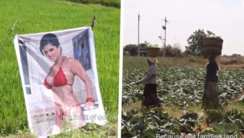 Селани ставиле постер од порноѕвезда на нива за подобар род