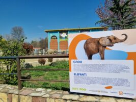 Credissimo со донација за ЗОО Скопје – Обновени информативните таблички за животните