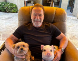 По пони, куче и магаре Шварценегер вдоми и прасе