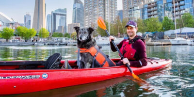 (Видео) Кучето Моли сака да биде градоначалник на Торонто