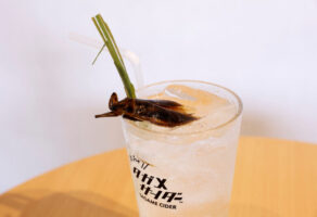 Специјалитети од свилена буба и штурци во кари: инсектите се враќаат на менијата во Јапонија
