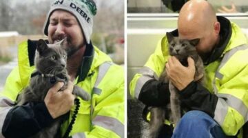 (Фото) Камионџија плаче од радост откако ја најде изгубената мачка