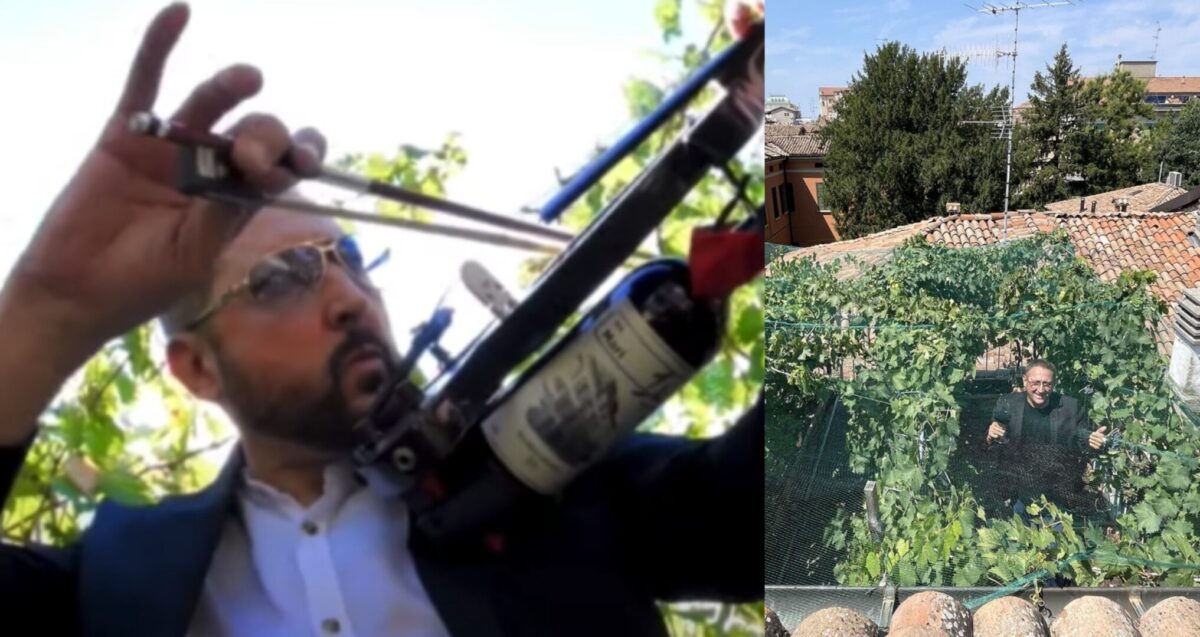 Италијанец одгледува винова лоза на тераса и едно шише вино го продава за 5000 евра