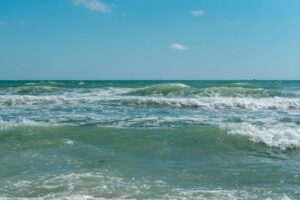 Океаните ја достигнуваат највисоката температура досега: ова носи страшни последици за планетата