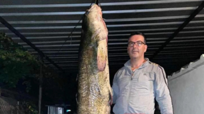 Сом тежок 80 килограми уловен на Калиманско Езеро