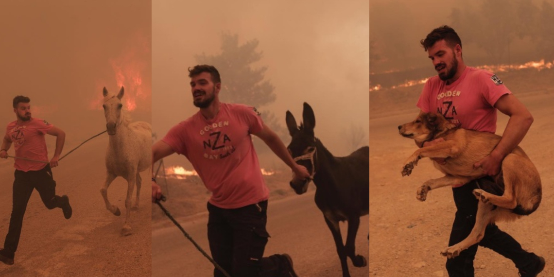 (Фото) Фармер од Грција го ризикуваше животот за да си ги спаси животните од пожарите кај Атина