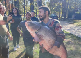 (Видео) Огромна риба извлечена од езерцето во Градскиот парк