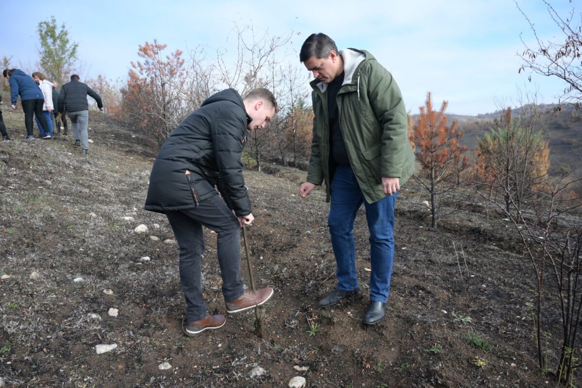 Засадени 11.000 садници на Ајватовски Рид во рамките на проектот „Зелена општина Илинден“