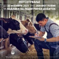 МЗШВ: До 16 ноември 2023 е отворен јавниот повик за набавка на педигриран добиток