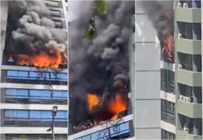 (Видео) Драматични снимки од Аргентина: Пожарникари и спасувачи се обидуваат да извлечат луѓе од зграда што гори