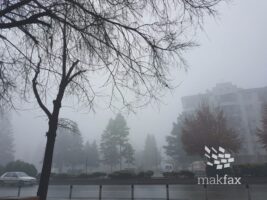 Времето денеска променливо облачно, наутро со магла
