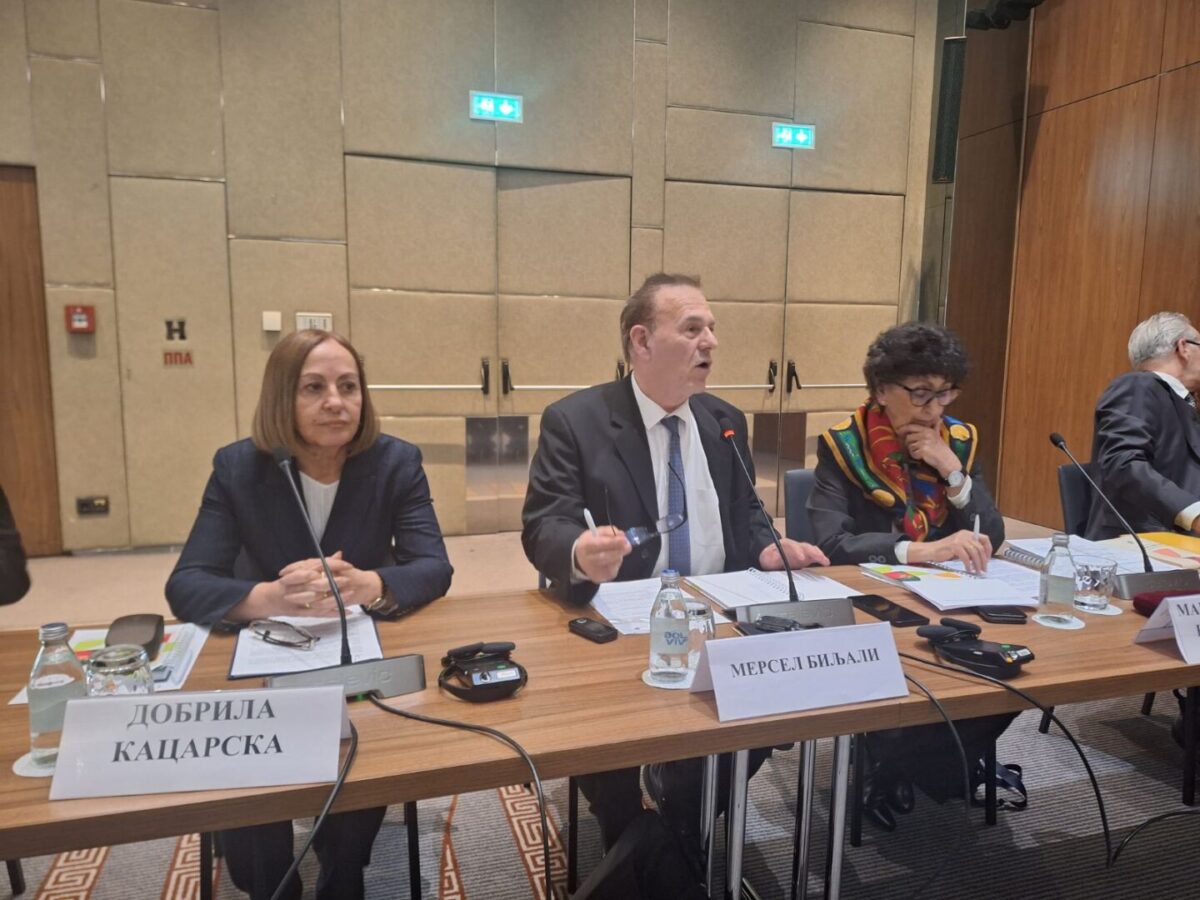 Уставни судии, професори, НВО, експерти од Германија, ОБСЕ и ЕУ на дебата за воведување уставна жалба