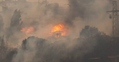 (Видео) Најмалку 99 загинати, стотици исчезнати во пожарите во Чиле