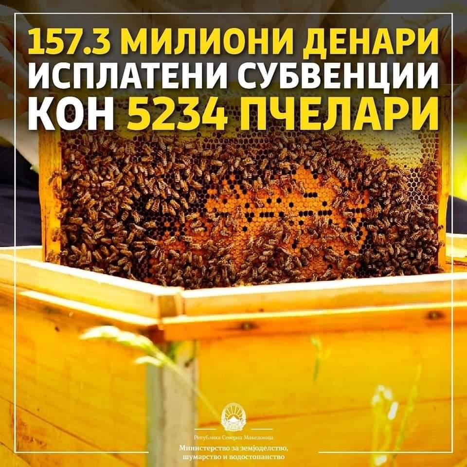 Исплатени 5234 пчелари со вкупна финансиска поддршка од 157.3 милиони денари