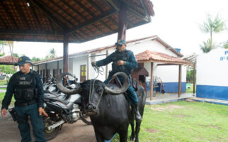 На бразилски остров полициската патрола користи биволи