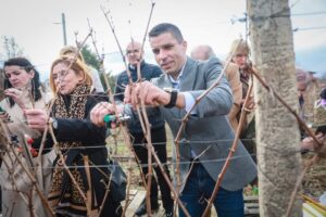 Николовски на закројување на лозјата во Марена: Во секторот лозарство и винарство никогаш не било подобро