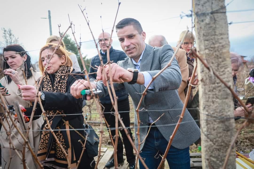 Николовски на закројување на лозјата во Марена: Во секторот лозарство и винарство никогаш не било подобро