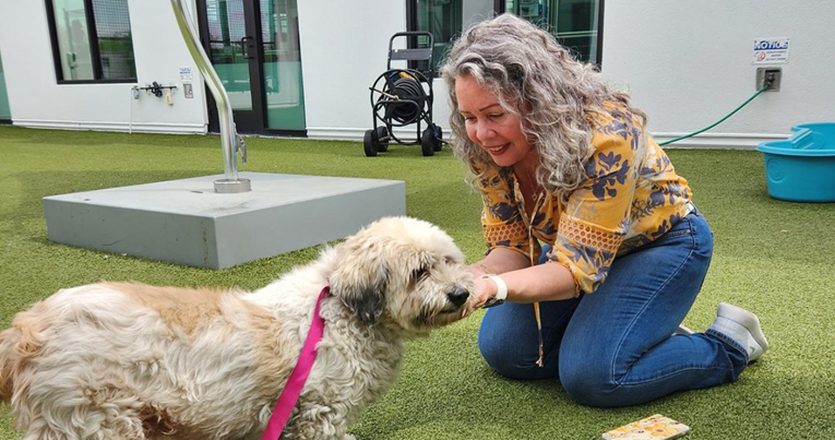 Пронајдено куче кое исчезна од семејниот дом пред 10 години, вратено му е на сопственикот