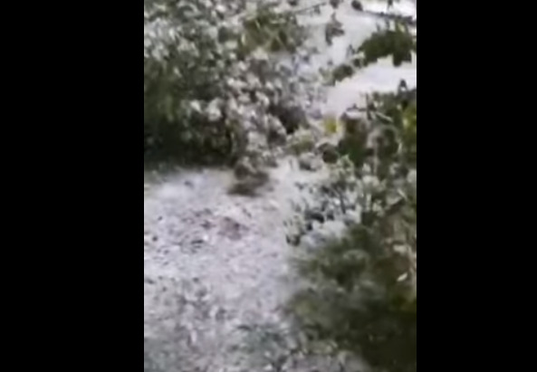 (Видео) Падна снег во БиХ и во Словенија