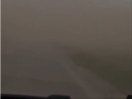 (Видео) Страшно невреме и во Србија, силен ветар во Војводина