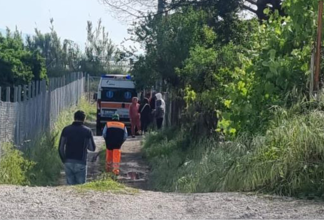 Два питбула убија 13-месечно дете, трагедија во Италија