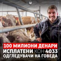 МЗШВ: Кон 4.033 одгледувачи на говеда исплатени 100 милиони денари дополнителни субвенции за обележани грла говеда