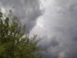 Пет жртви во силни ветрови во Полска