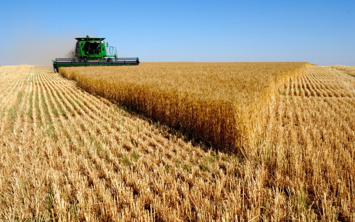 СДСМ: Во новиот мандат  1,35 милијарди евра поддршка во земјоделството